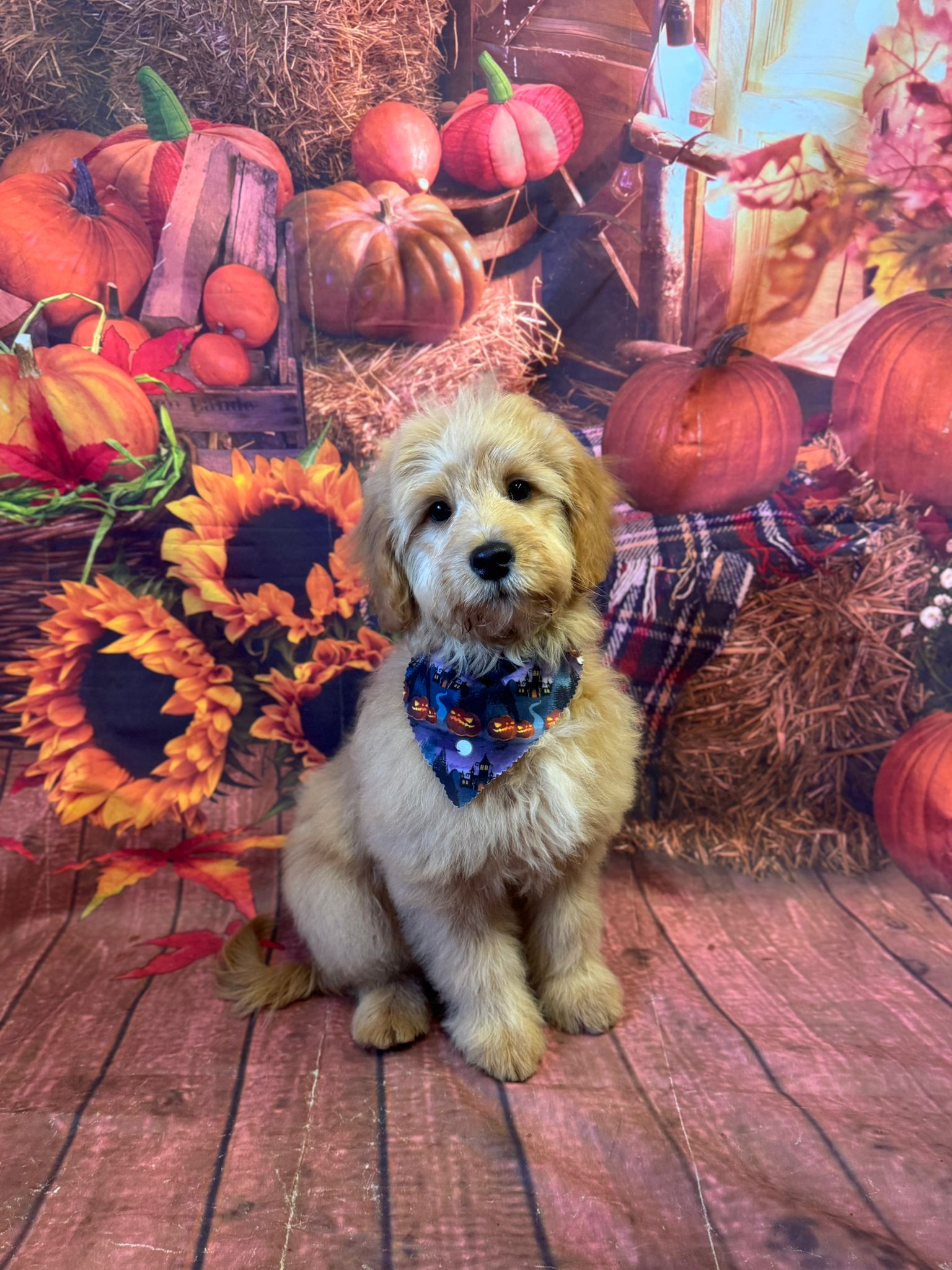 314ac027 4f4e 4138 8524 c859efebcafe