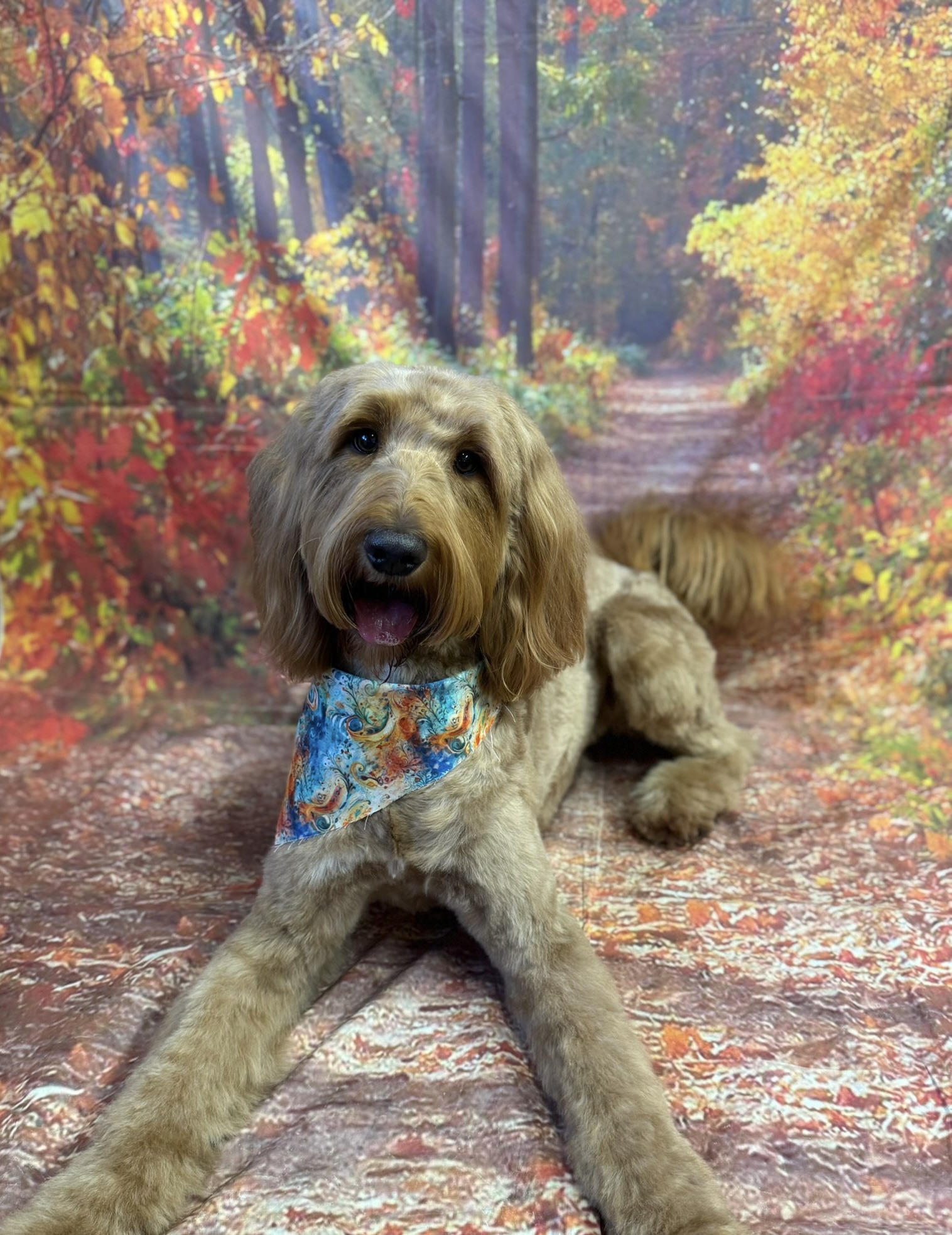 cd8e069f ec8e 47a8 ab8d b9ff7ff02e3e