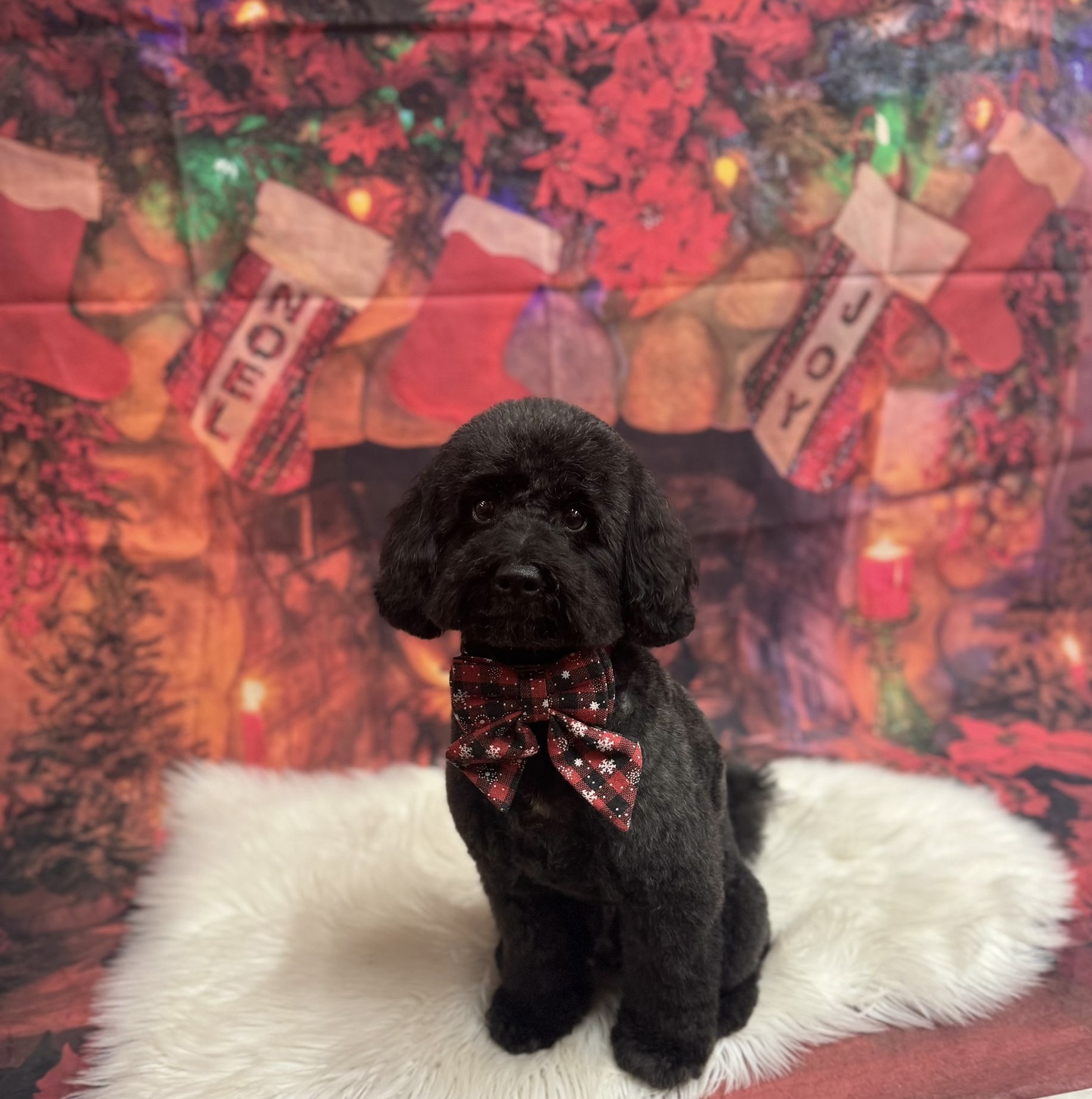 ed3252aa 7e7a 4d57 946b 327d4a7de197